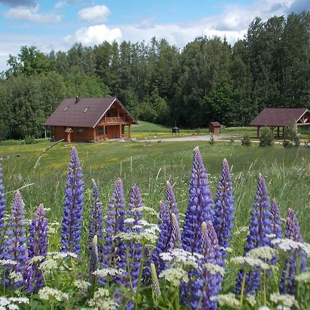 Guest House Kalnini Kārļi Esterno foto