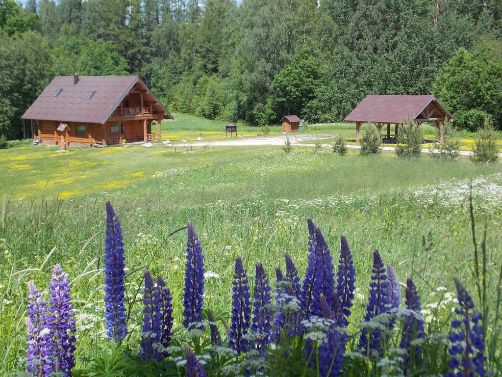 Guest House Kalnini Kārļi Esterno foto